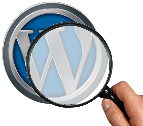 Fingerprint WordPress installations Fingerprint WordPress installations