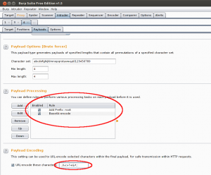 Burp Sutei Bruteforce Attack Settings