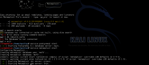 Start PostgreSQL and Metasploit Services
