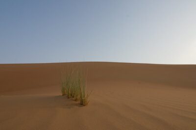 The Psychology of Cyber Resilience — useful analogies for effective communication